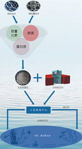 微生物.gif